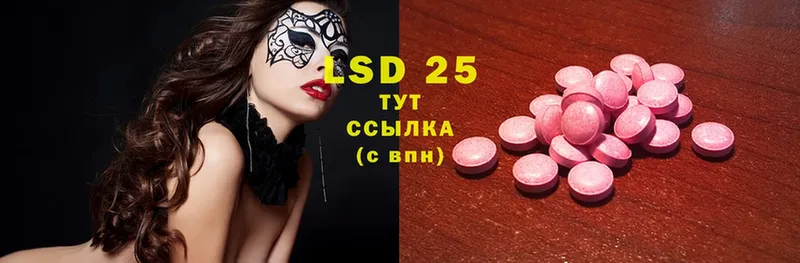 дарнет шоп  OMG ССЫЛКА  Лсд 25 экстази ecstasy  Кингисепп 